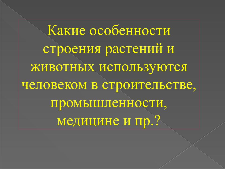 Бионика как одно из направлений биологии и кибернетики презентация