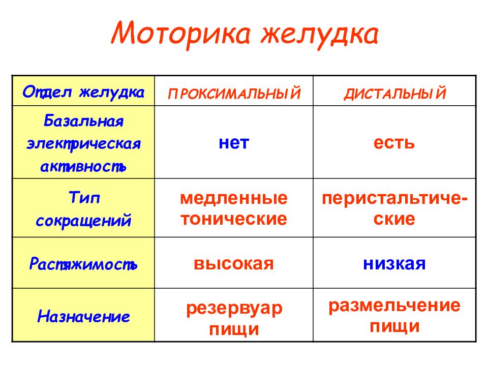 Моторика желудка. Моторика желудка базальная. Регистрации перистальтики желудка является. Есть или нет личинистая стадия. Нет перистальтики желудка в дистальном отделе.