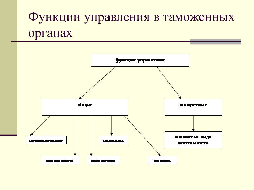 Отдел роль. Функции управления в таможенныхорганвх. Функции управления в таможенных органах. Методы управления таможенными органами. Общие функции управления в таможенных органах.