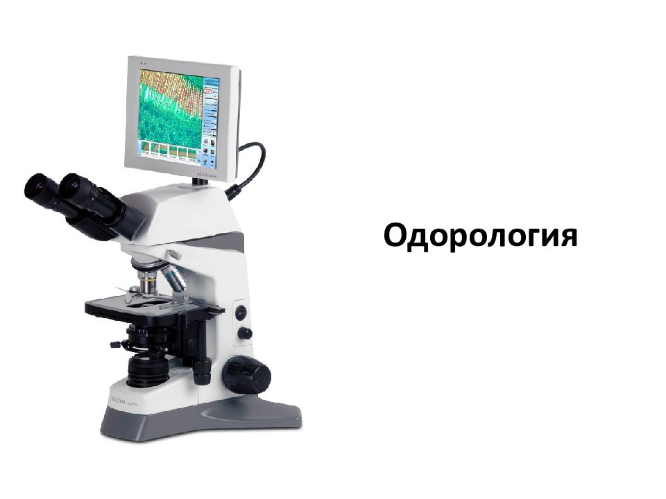 Одорология