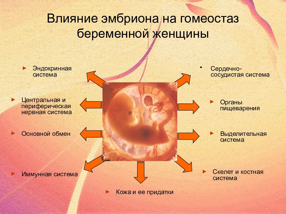 Изменение в женском организме