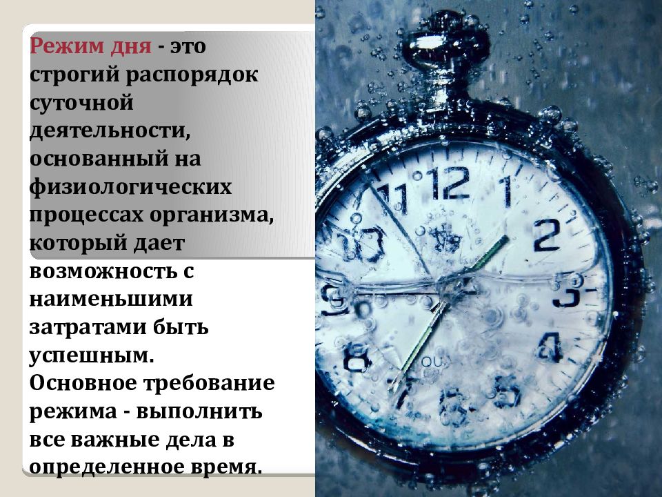 Самое строгое расписание. Правильный режим дня. Где не бывает дня в году. Строгое расписание канта. Расписание дня.