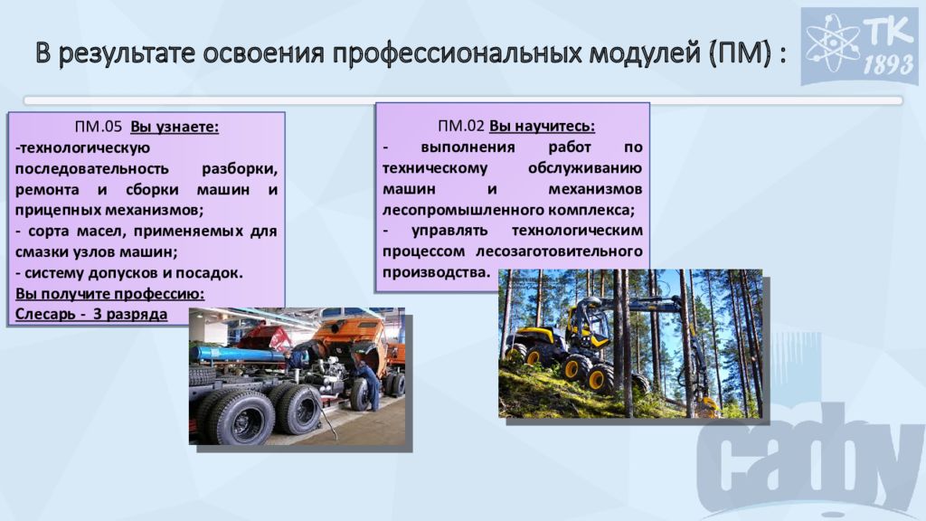 Проблемы освоения профессионала