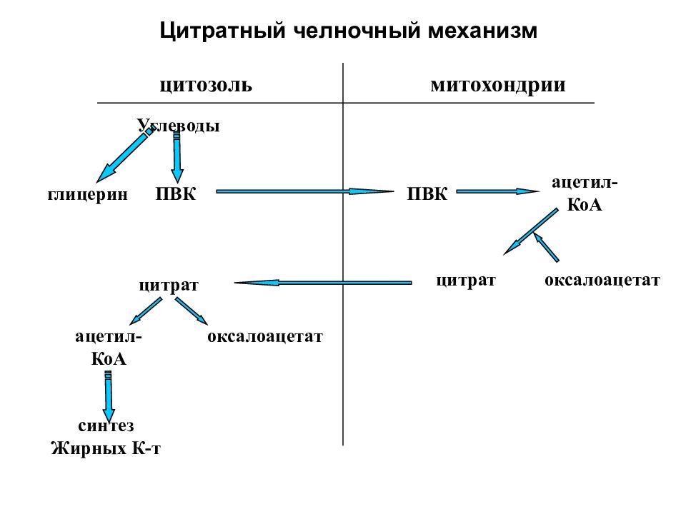 Челночный механизм. Челночный механизм переноса ацетил-КОА. Цитратный челнок биохимия. Цитрат-малатный челночный механизм. Цитратный челночный механизм биохимия.