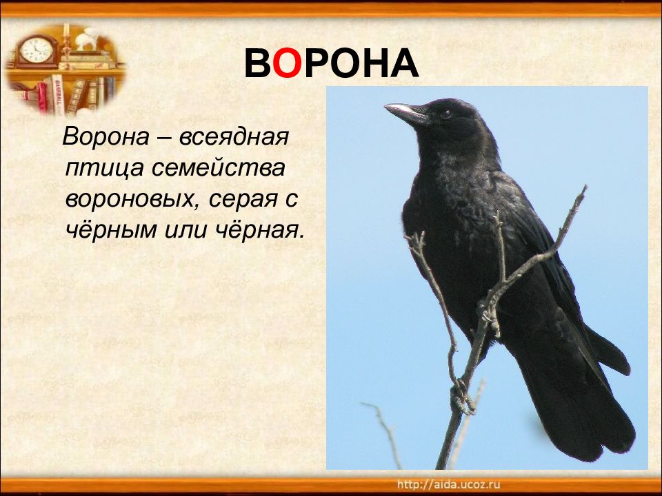 Предложение с вороной. Предложение о вороне. Предложение про ворону. Слово ворона.