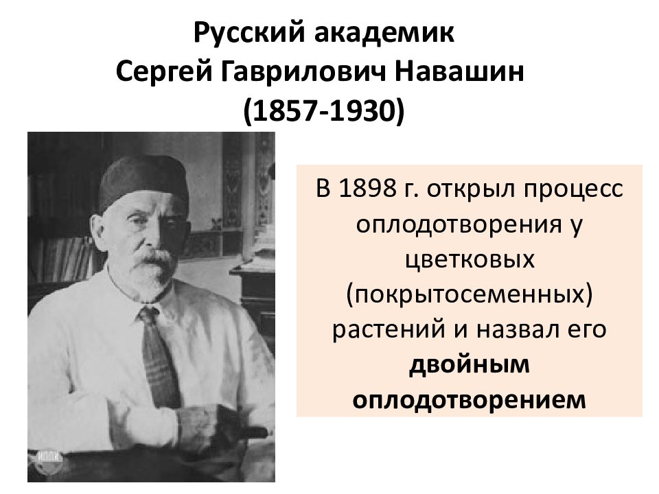 С г навашина фото. Навашин вклад в биологию. Жизнь и научная деятельность Навашина.