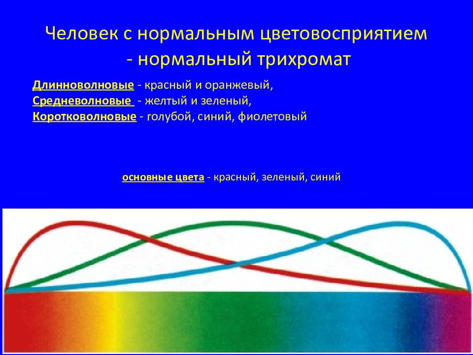 Зрительные функции. Средневолновые цвета.