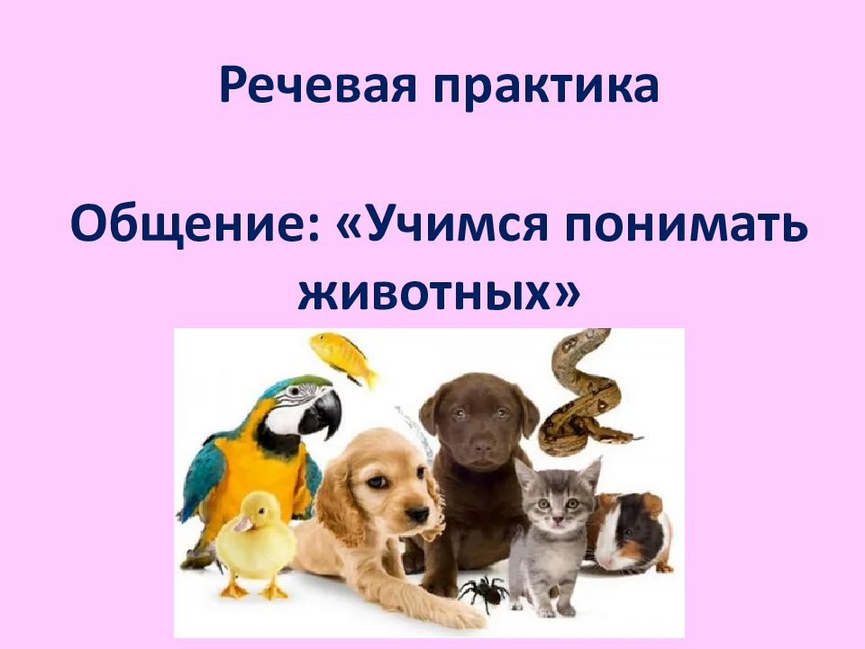 Речевая практика Общение: «Учимся понимать животных»