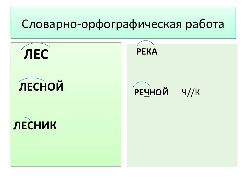 Лесник лесной корень. Словарно-орфографическая работа 5 класс. Лесник корень. Беглые гласные 5 класс презентация. Беглые гласные 5 класс.