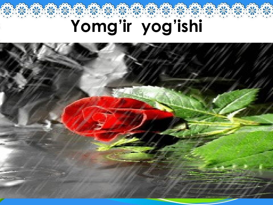 Yomg’ir yog’ishi
