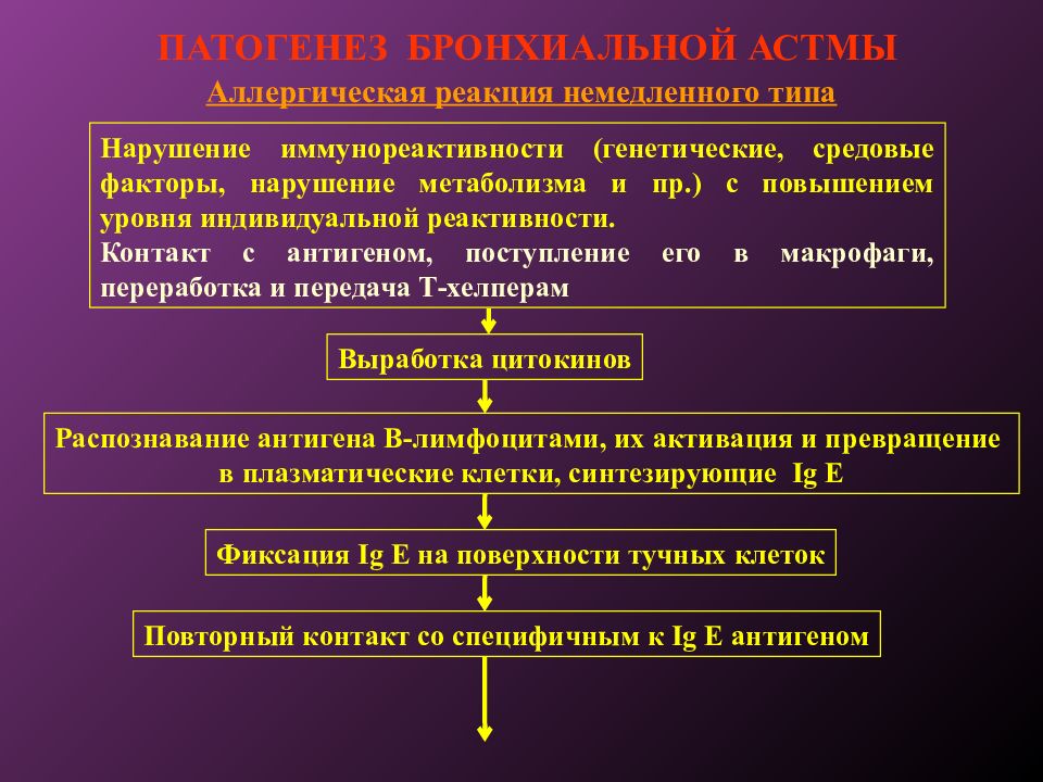 Немедленные аллергические реакции. Патогенез аллергических реакций немедленного типа. 1. Стадии аллергических реакций немедленного типа.. Реакция немедленного типа патогенез. Механизм развития аллергии немедленного типа.