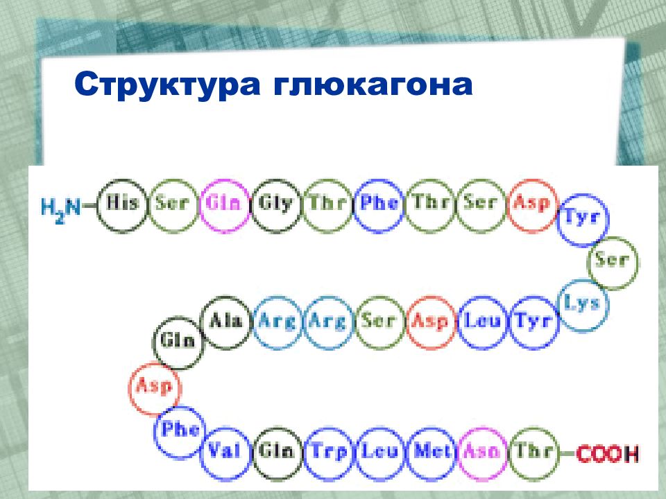 Структура 30. Глюкагон структура. Глюкагон строение. Глюкагон формула структурная. Глюкагон биохимия первичная структура.