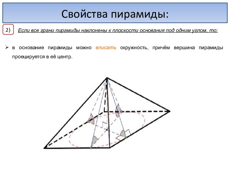 Пирамида. Когтев Миша