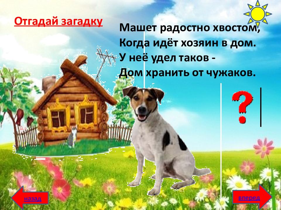 Хозяин загадка