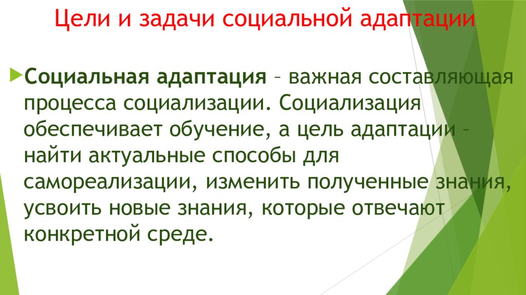 Цели и задачи социальной адаптации
