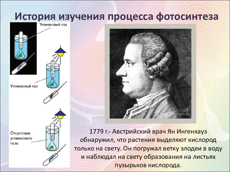 Источник энергии свет фотосинтез хемосинтез