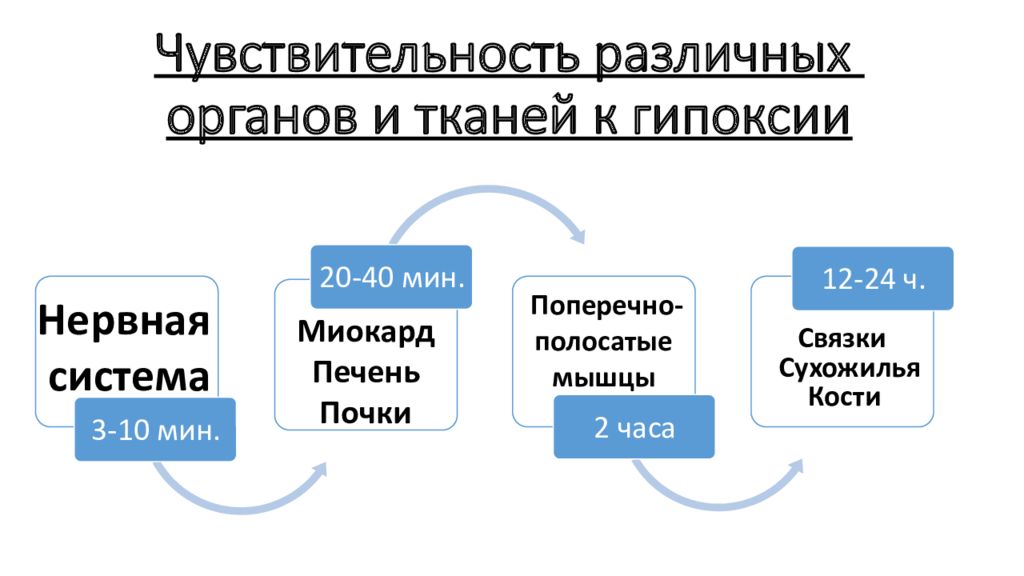 Устойчивость различных. Устойчивость отдельных органов и тканей к гипоксии. Резистентность различных тканей к гипоксии. Устойчивость отдельных органов и тканей к кислородному голоданию. Чувствительность органов к гипоксии.