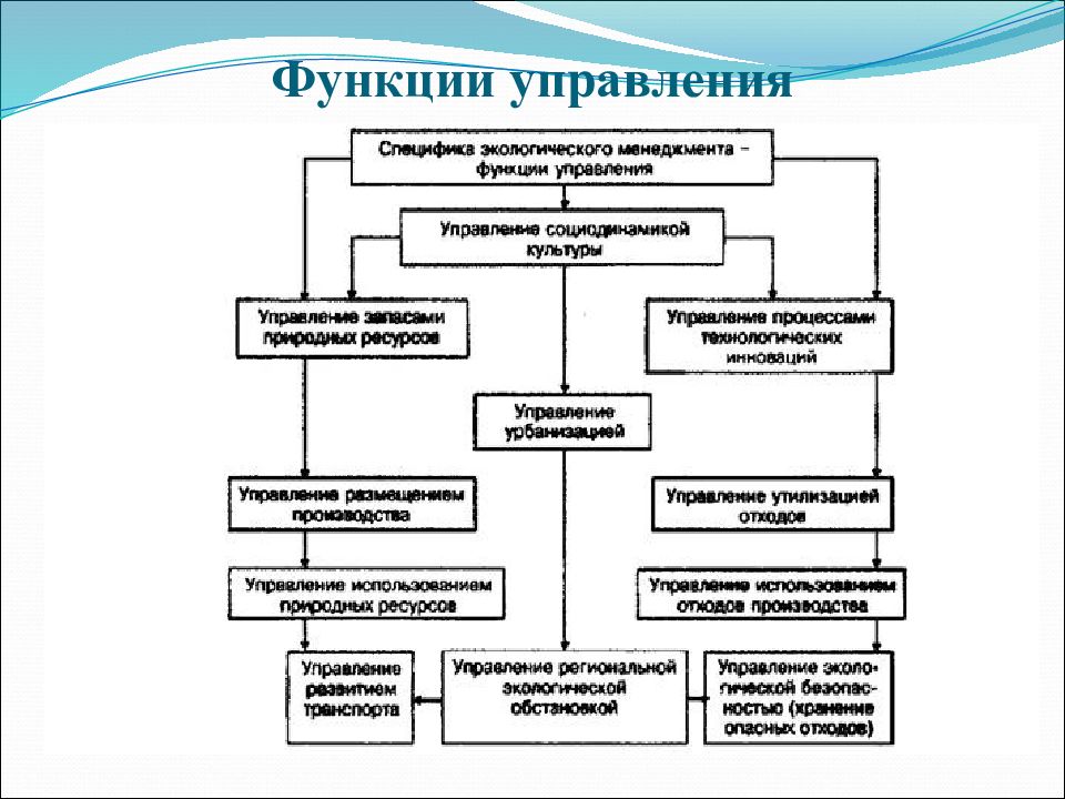 Управление экологической безопасностью презентация