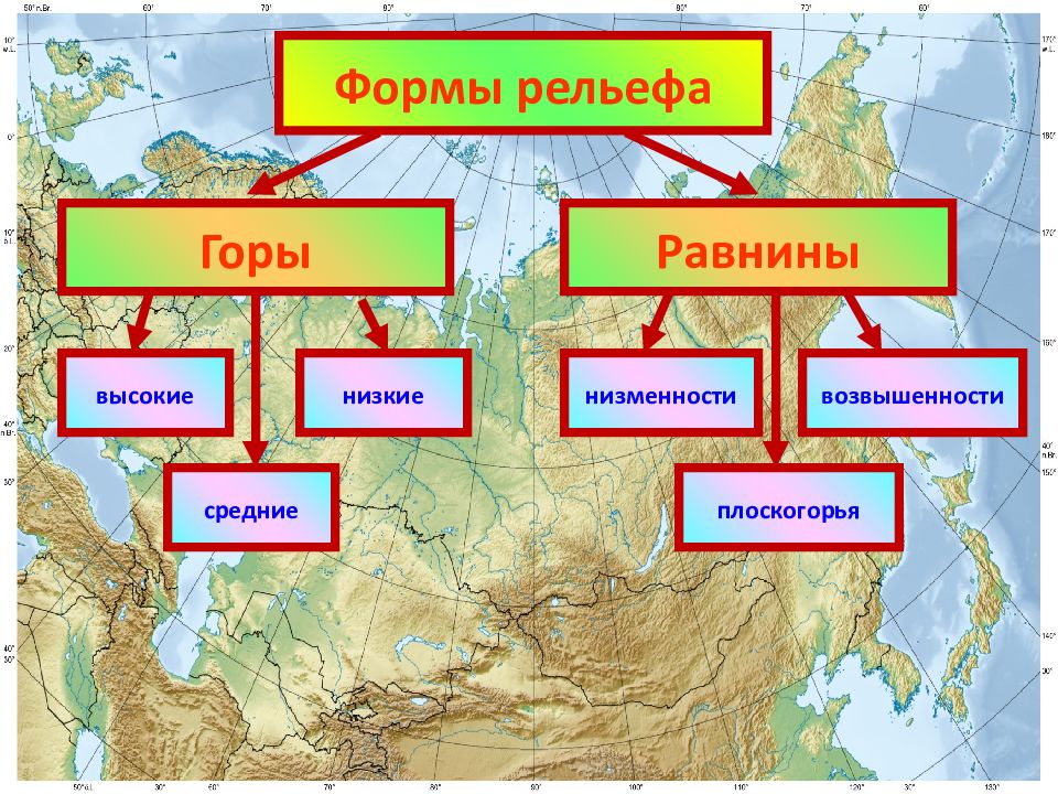 Подпишите на карте названия крупнейших равнин. Карта равнин и плоскогорий. Крупные формы рельефа. Формы рельефа России на карте. Горы равнины Плоскогорья России.