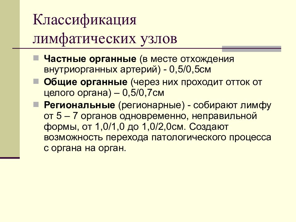 Лимфатический узел как орган классификация лимфатических узлов