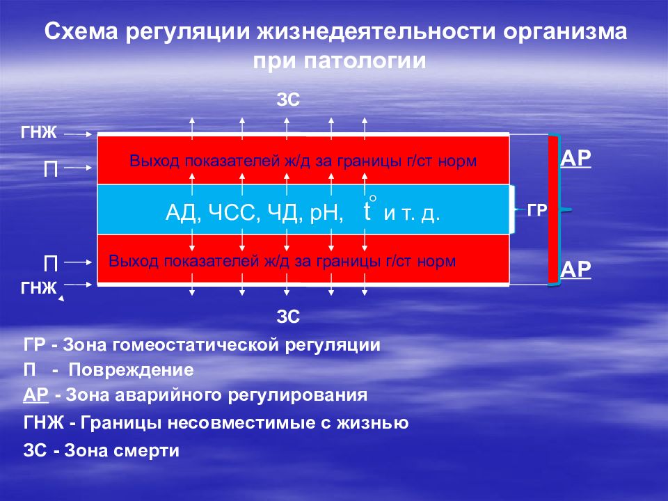 Регуляция жизнедеятельности. Схема регуляции жизнедеятельности организма при патологии. Регуляция жизнедеятельности организма схема. Схема регуляции ЧСС. Аварийное регулирование патофизиология.