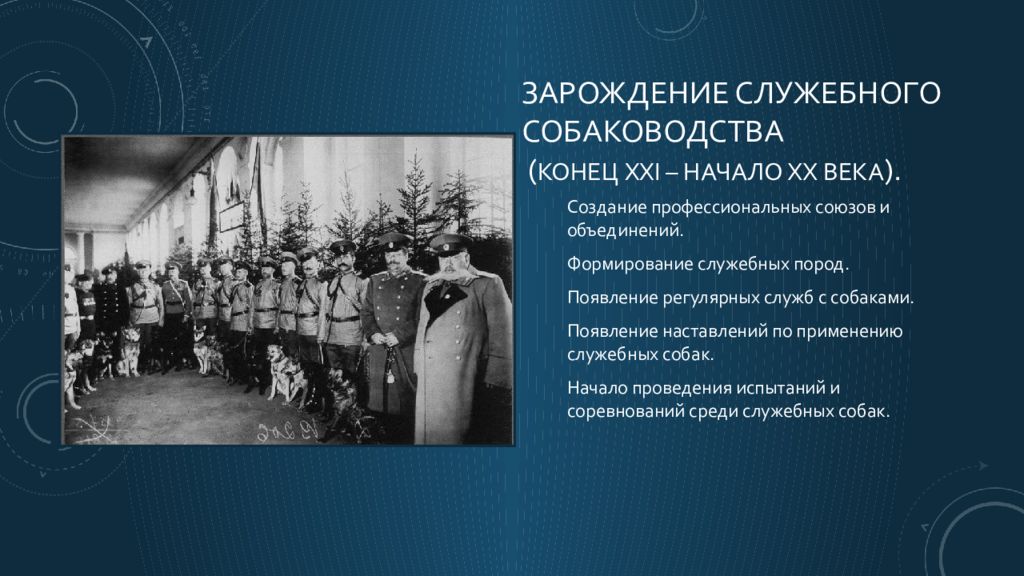 Россия в конце 21 века. Зарождение служебного собаководства. Зарождение служебного собаководства в России. Федерация служебного собаководства СССР. Проблемы развития служебного собаководства.