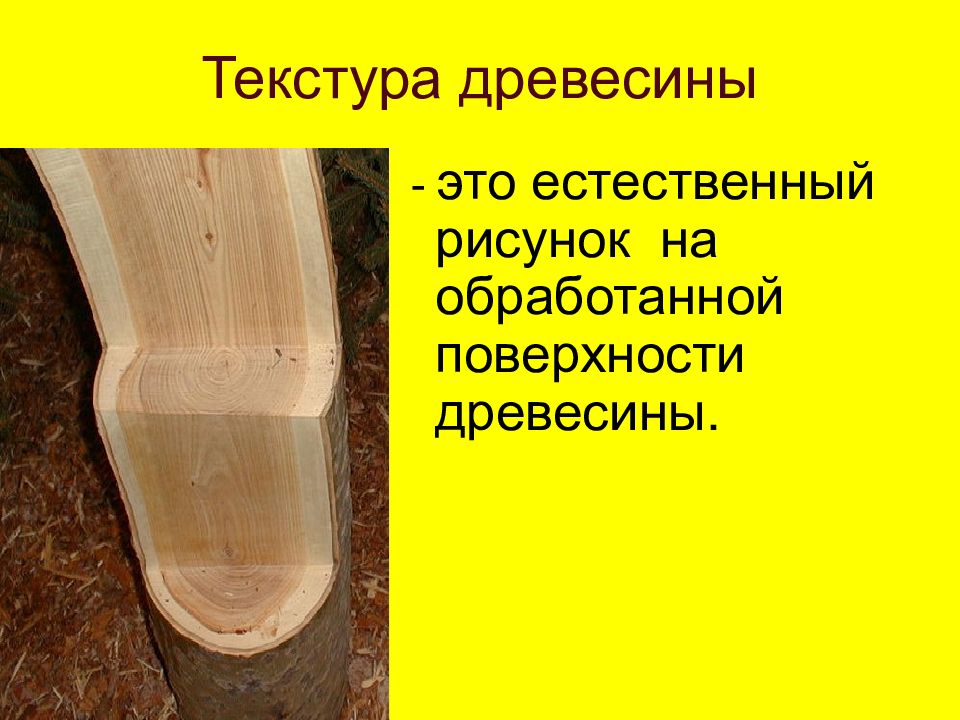 Обработка древесины презентация 5 класс. Что такое текстура древесины 5 класс технология. Рисунок поверхности древесины называется. Фактура древесины 5 класс. Что образует текстуру древесины.