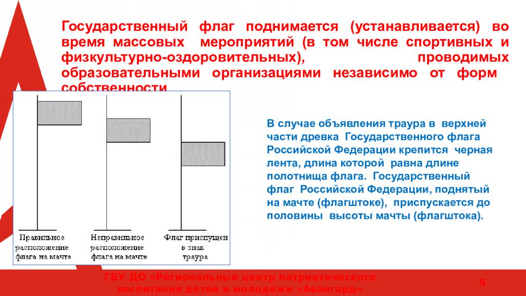 Порядок использования государственного флага устанавливается