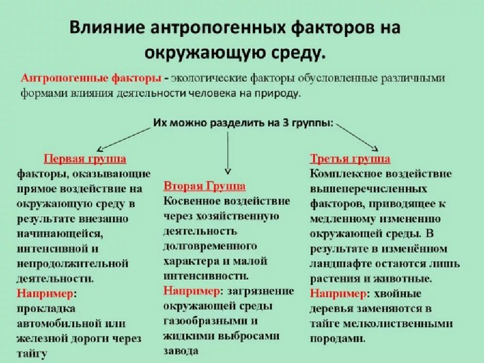 Факторы и формы воздействия общества на окружающую среду схема