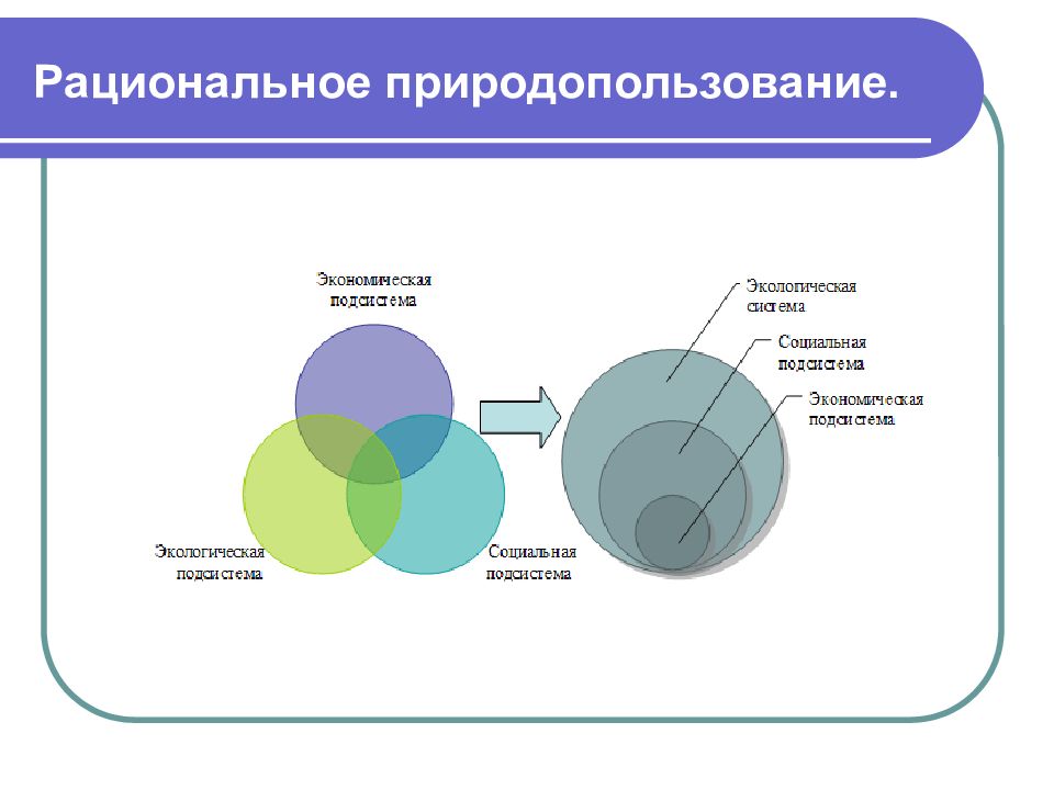 Природопользование и экологические проблемы презентация