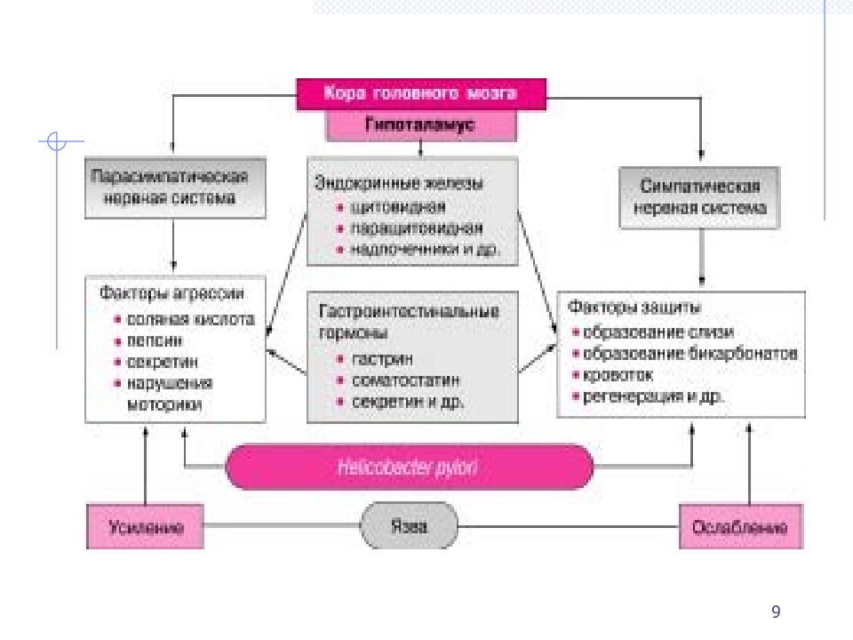 Схемы лечения язвенной болезни желудка и двенадцатиперстной кишки