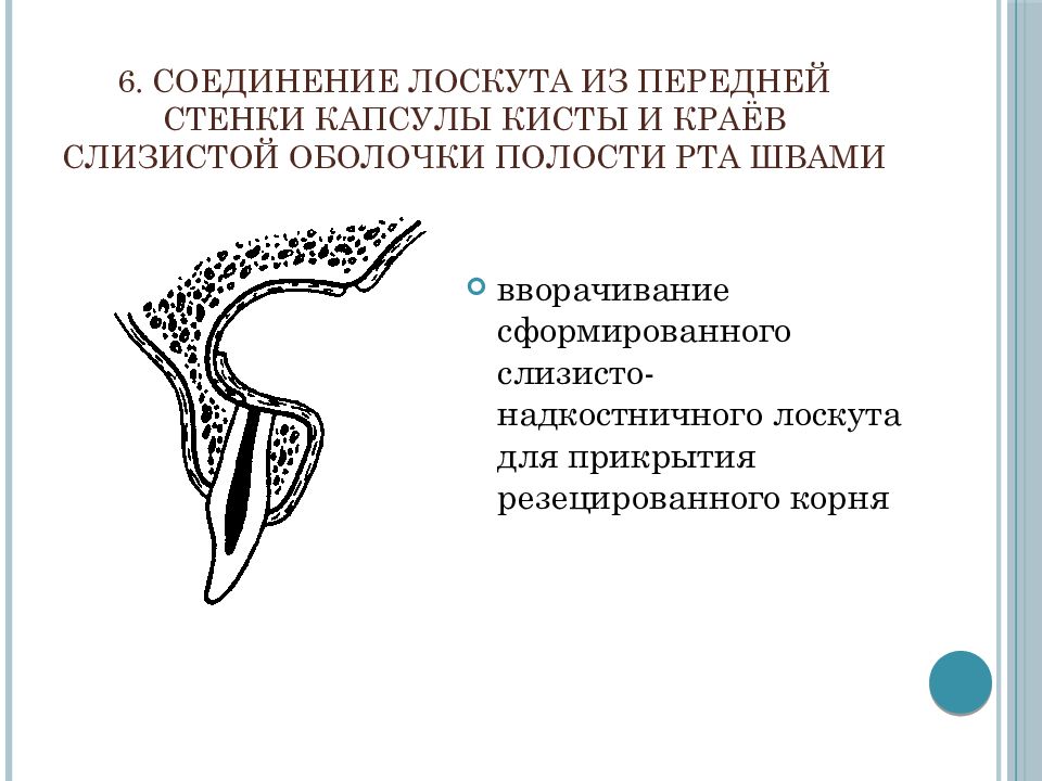 Укажите анатомические образования формирующие переднюю стенку собственно полости рта