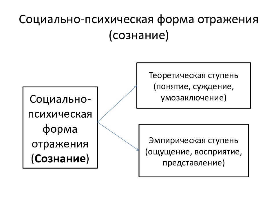 Психическая форма. Формы отражения действительности в философии. Структура сознания как форма психического отражения. Сознание - Высшая форма психического отражения. Проблема сознания в истории философии.