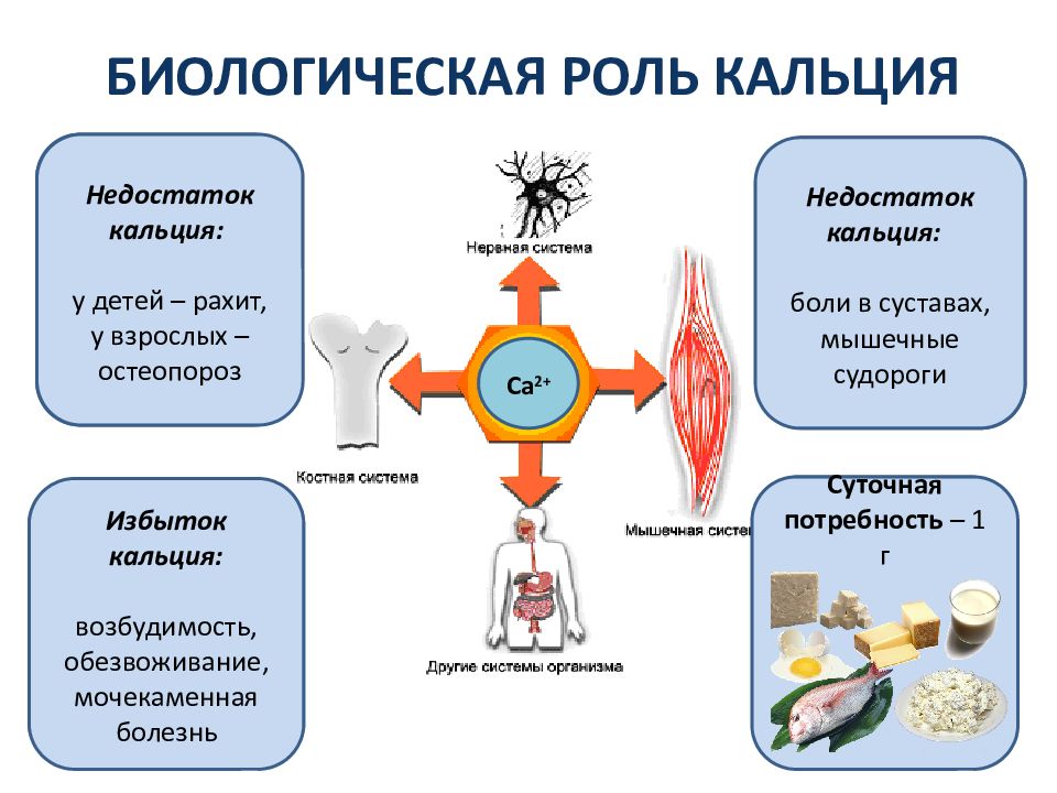 Кальций биохимия презентация