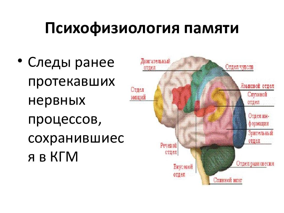 Карта схема психофизиология внимания