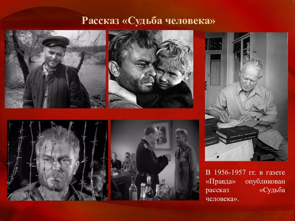 Читать истории судьбы. Судьба человека Михаила Шолохова. Шолохов судьба человека 1956.
