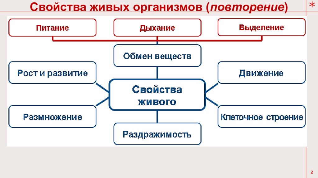Тема урока: Обмен веществ у растений