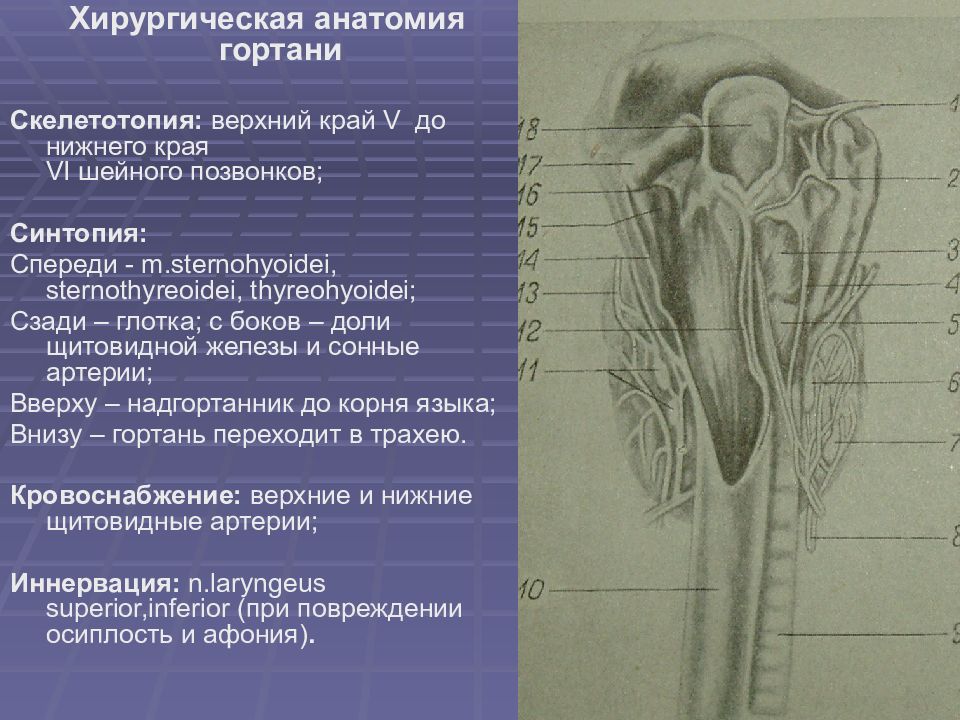 Топографическая анатомия и оперативная хирургия шеи презентация