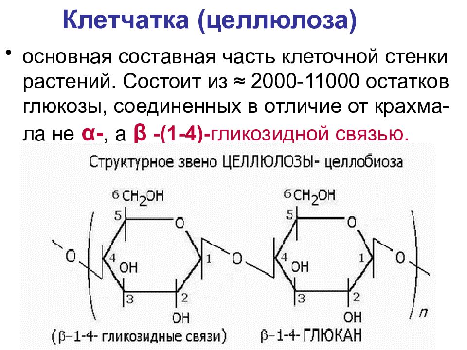 УГЛЕВОДЫ: функции и обмен УГЛЕВОДЫ: функции и обмен