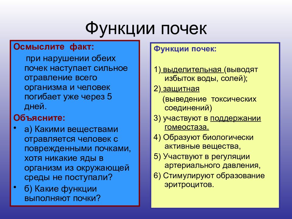 Функции почек презентация