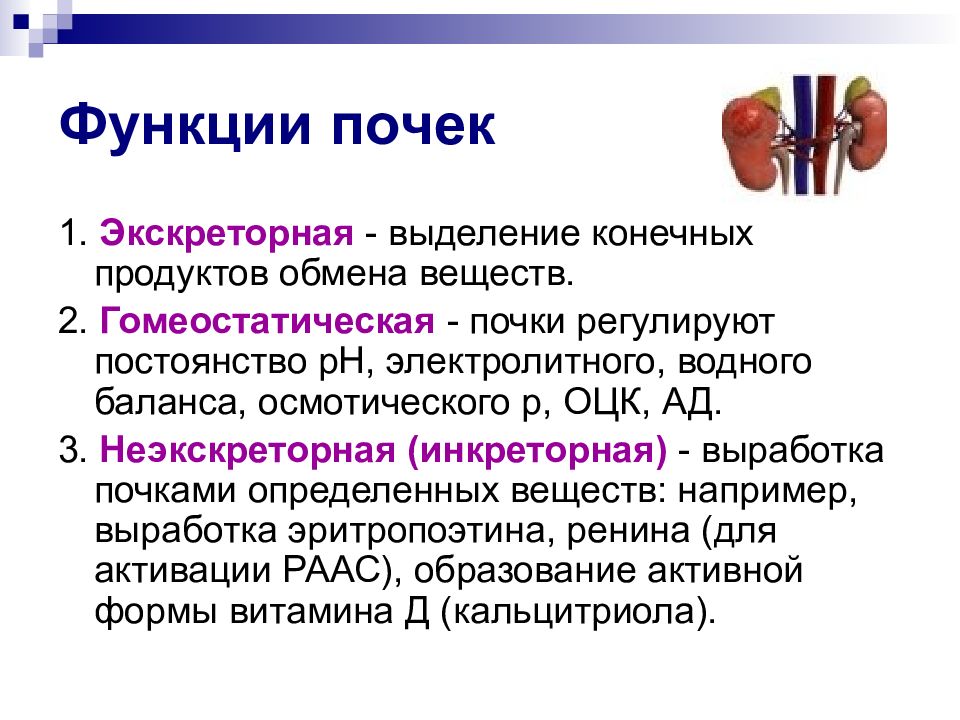 Функции почек. Гомеостатическая функция почек физиология. Экскреторная инкреторная и метаболическая функции почек. Инкреторная функция почек патофизиология. Экскреторная гомеостатическая функция почек.