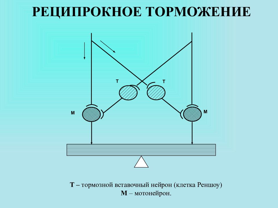 Реципрокного торможения схема