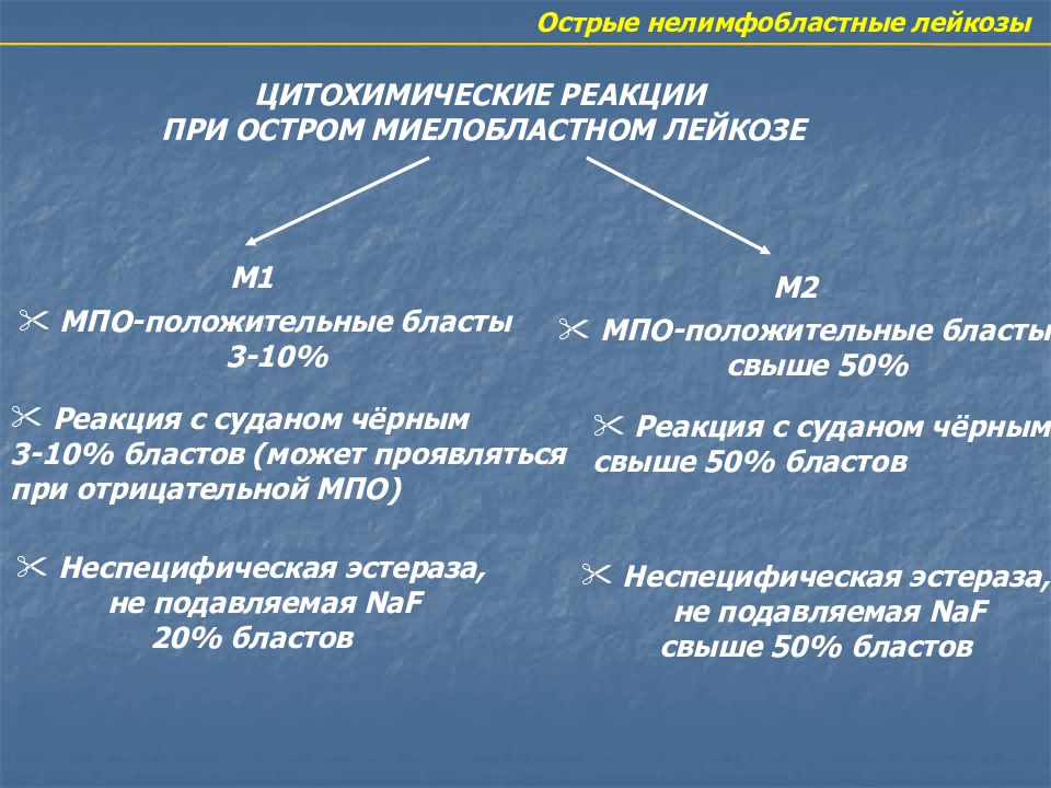 Гемобластозы патогенез. Патогенез гемобластозов. Патогенез острого лейкоза. Патогенез гемобластозов патофизиология.