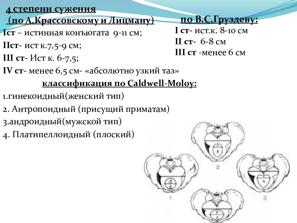 Узкий таз презентация