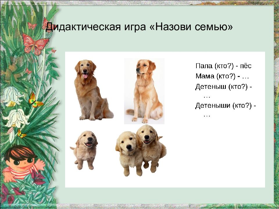 Собака зовет маму. Домашние животные презентация для дошкольников. Семьи домашних животных. Назови семью животных. Назови семью пес.