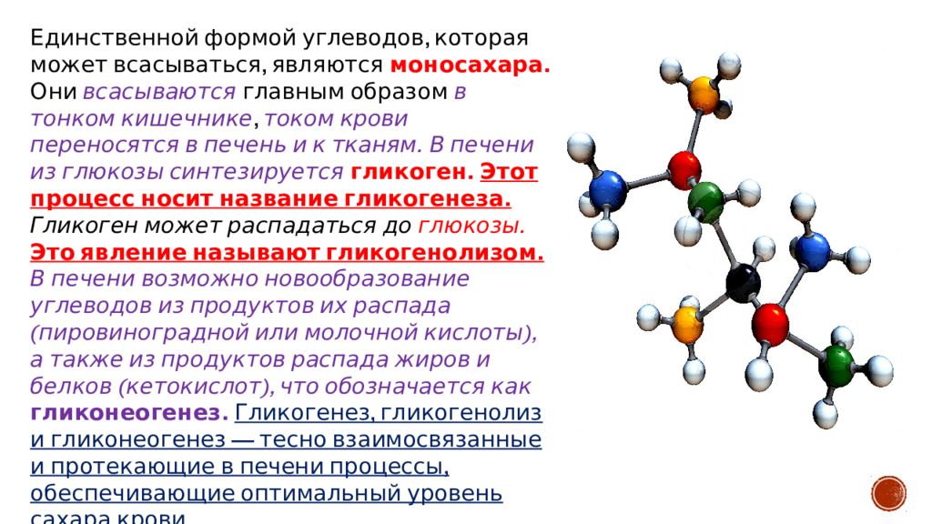 Как называются продукты обмена веществ