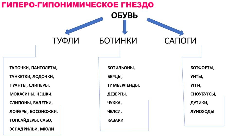 Гиперо гипонимическая группа пример