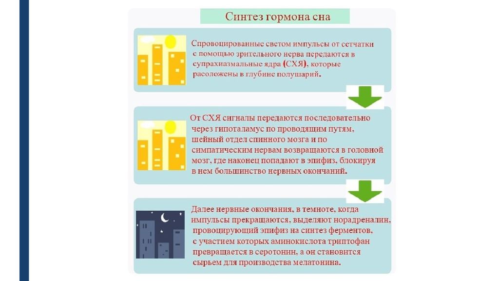 Для чего нужен мелатонин. Мелатонин гормон Синтез. Синтез гормонов сна. Гормон вырабатываемый во время сна. Гормоны которые вырабатываются ночью.