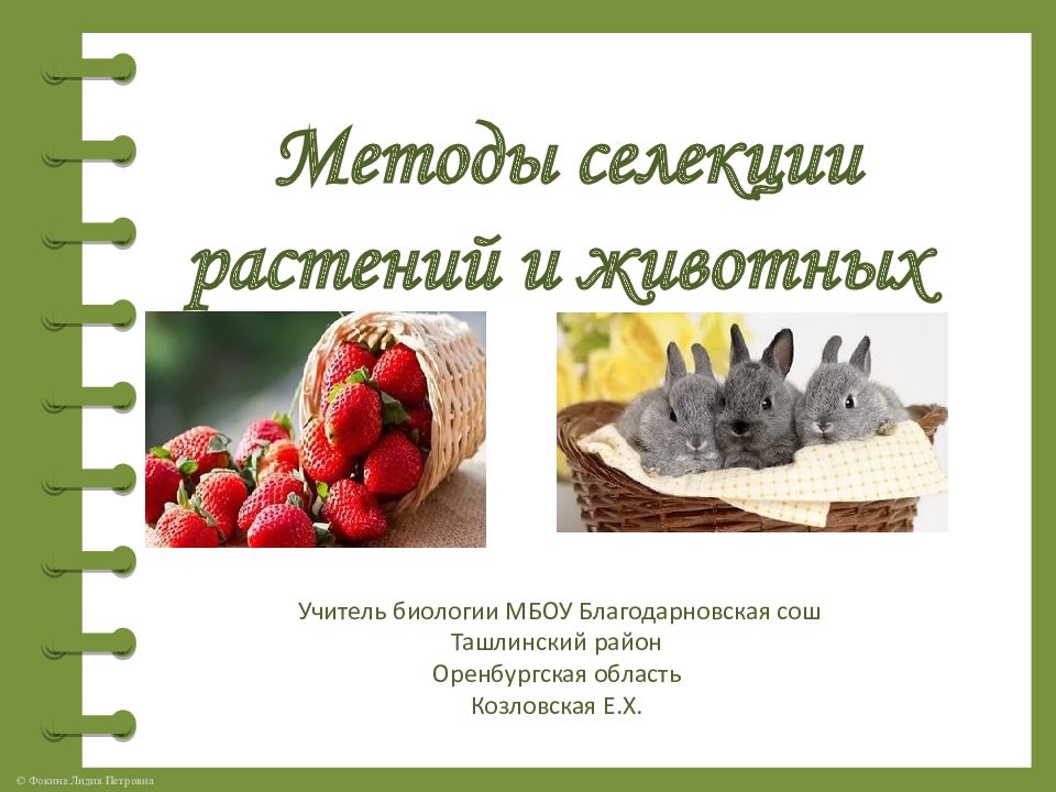 Методы селекции растений и животных Учитель биологии МБОУ Благодарновская