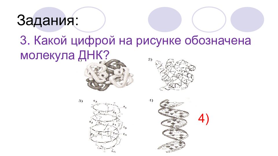 Каким номером на рисунке обозначена молекула. Какой цифрой на рисунке обозначена молекула ДНК. Какой цифрой на рисунке обозначена ДНК. Что обозначено на рисунке цифрой 3. Какой участок цифрой на рисунке обозначена молекула ДНК.